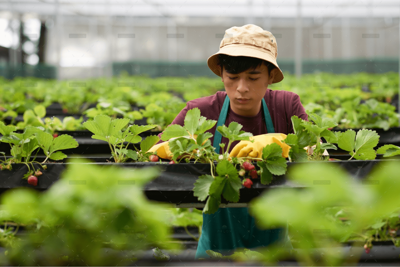 CÔNG TY CỔ PHẦN MỘC ĐIỀN