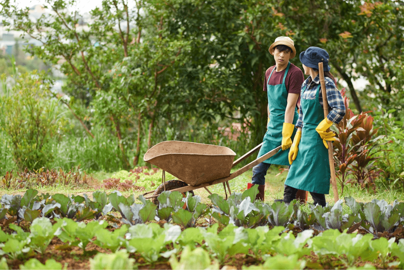 CÔNG TY CỔ PHẦN MỘC ĐIỀN