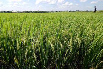 CÔNG TY CỔ PHẦN MỘC ĐIỀN