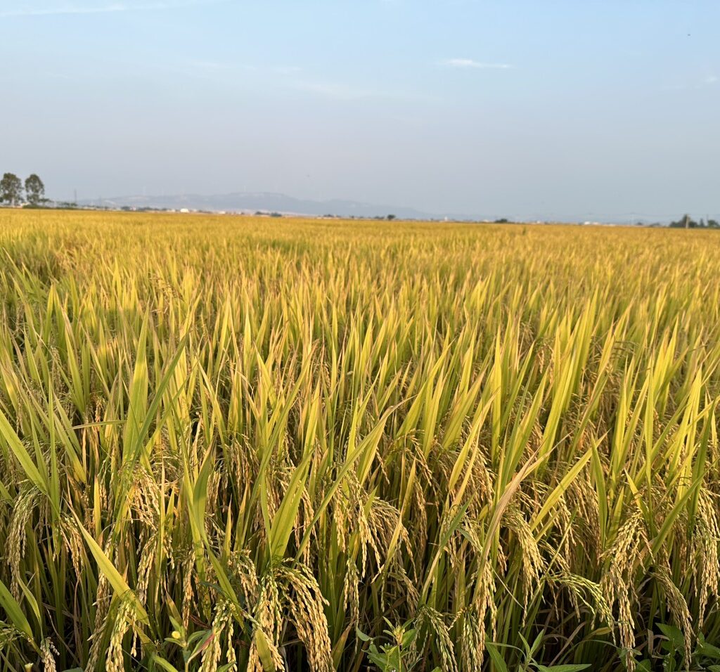 CÔNG TY CỔ PHẦN MỘC ĐIỀN