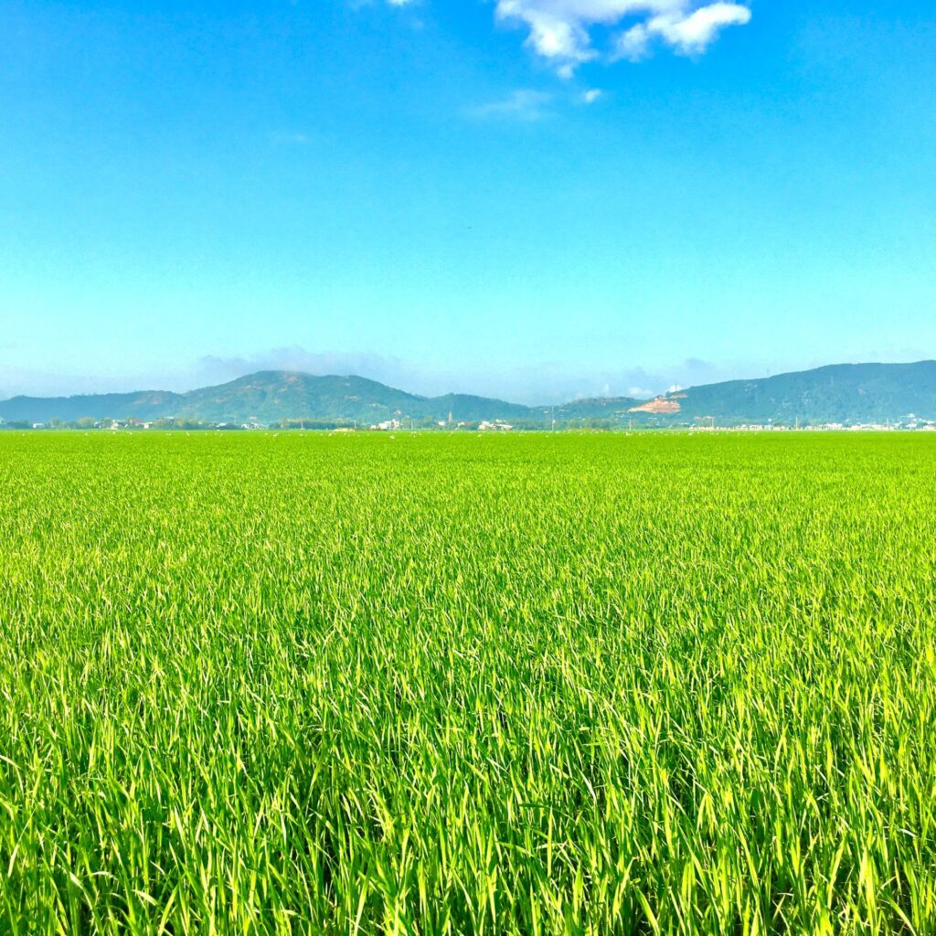 CÔNG TY CỔ PHẦN MỘC ĐIỀN