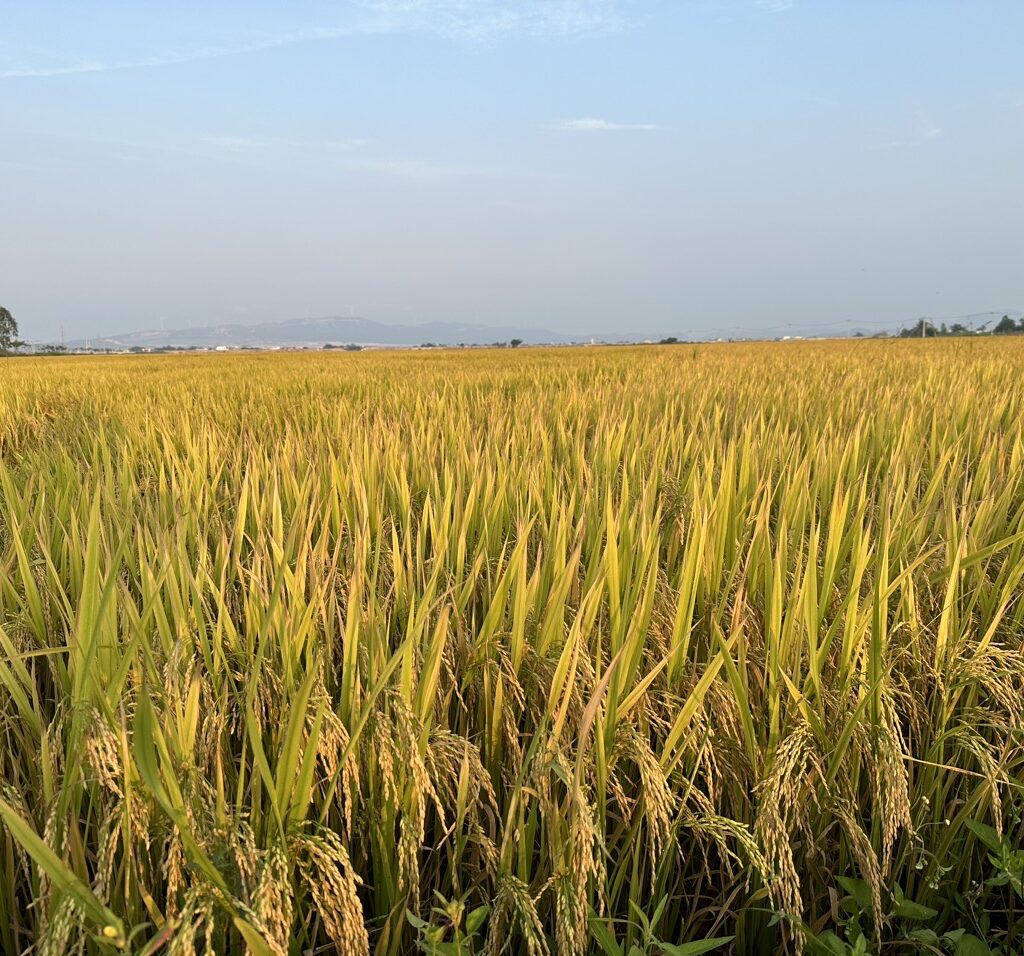 CÔNG TY CỔ PHẦN MỘC ĐIỀN