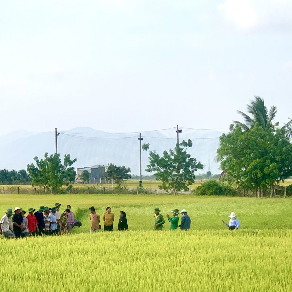 CÔNG TY CỔ PHẦN MỘC ĐIỀN