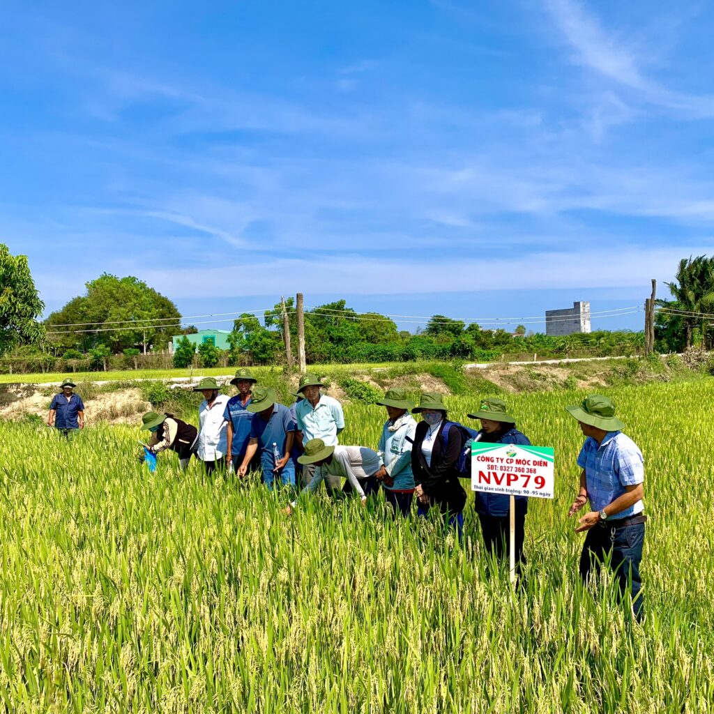 CÔNG TY CỔ PHẦN MỘC ĐIỀN