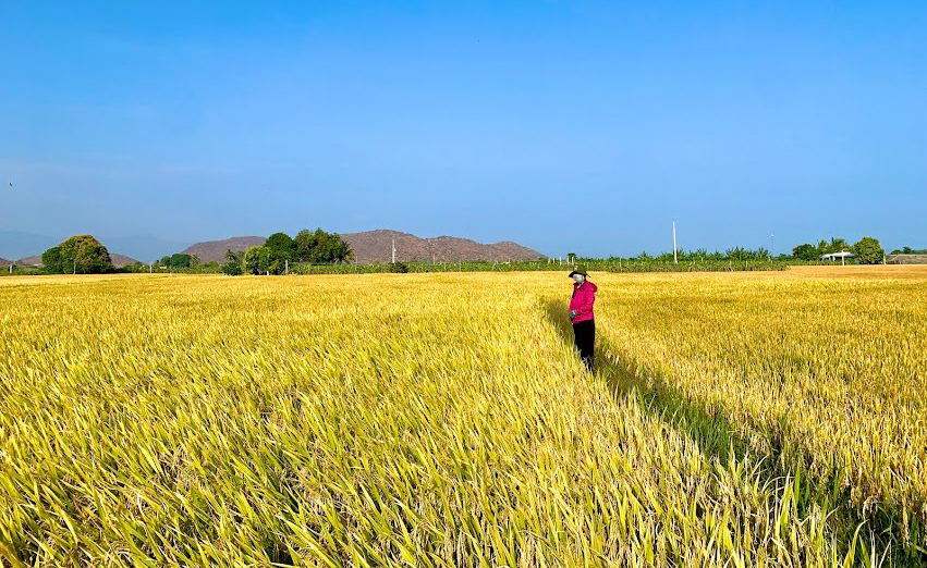 CÔNG TY CỔ PHẦN MỘC ĐIỀN