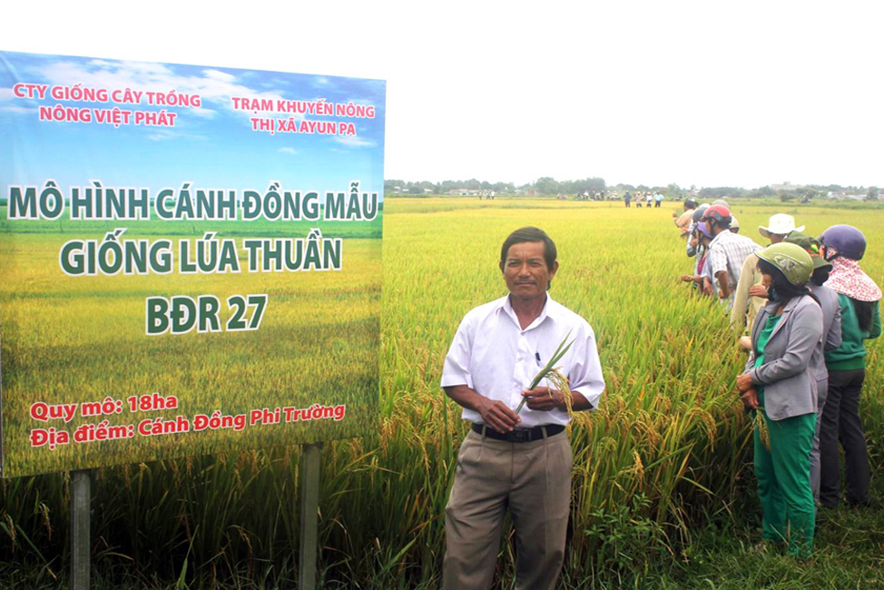 CÔNG TY CỔ PHẦN MỘC ĐIỀN